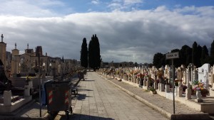 Avviso Pubblico: Aree Cimiteriali a 3 posti linee provvisorie - scadenza dal 24 dicembre 2018 al 2 gennaio 2019
